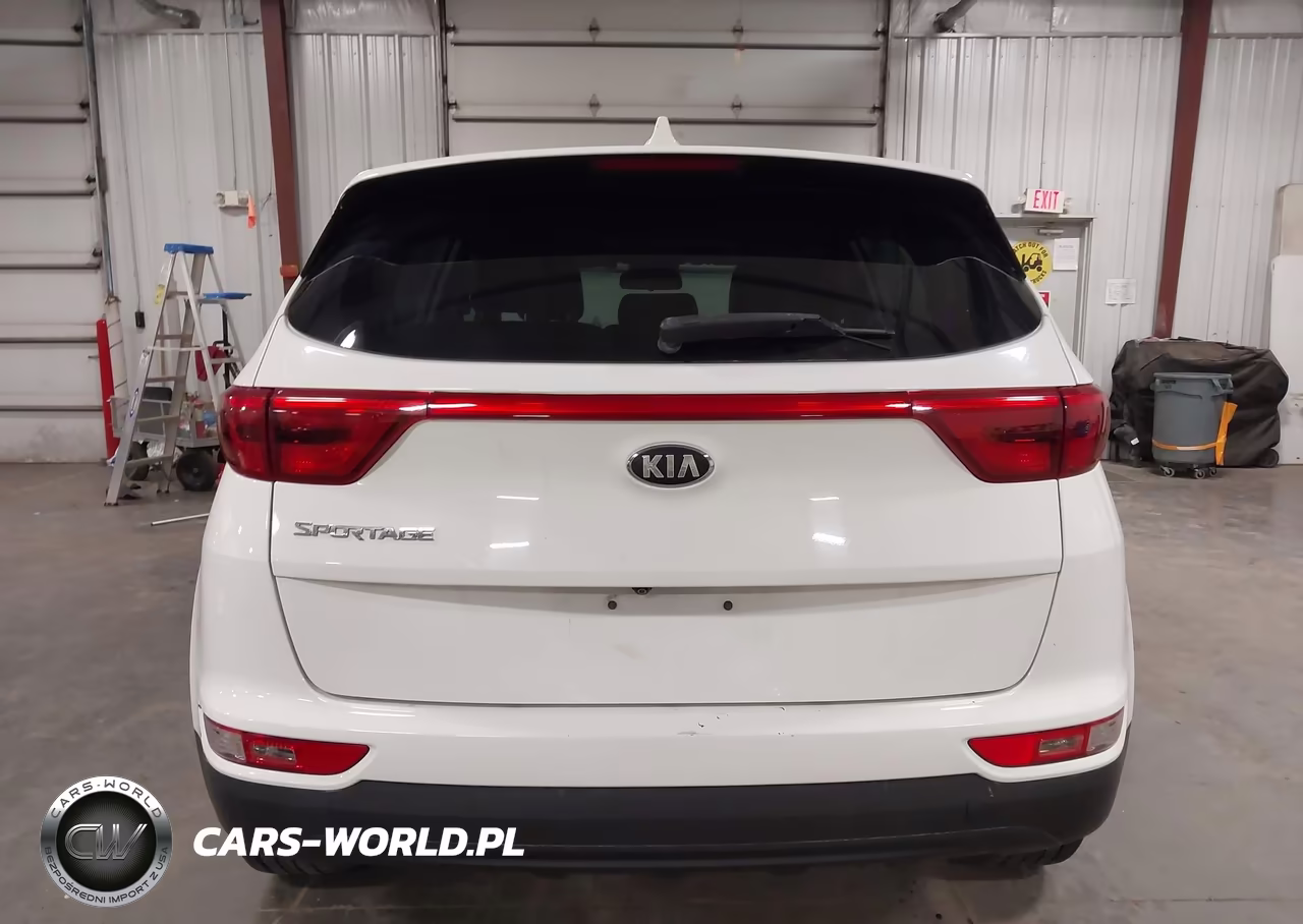 2019 Kia Sportage Lx VIN:KNDPMCAC1K7615034 - 17