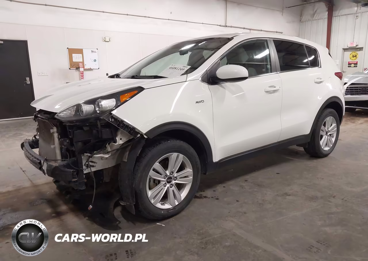 2019 Kia Sportage Lx VIN:KNDPMCAC1K7615034 - 2