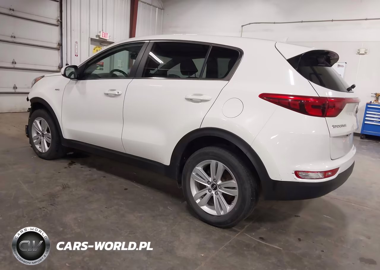 2019 Kia Sportage Lx VIN:KNDPMCAC1K7615034 - 3