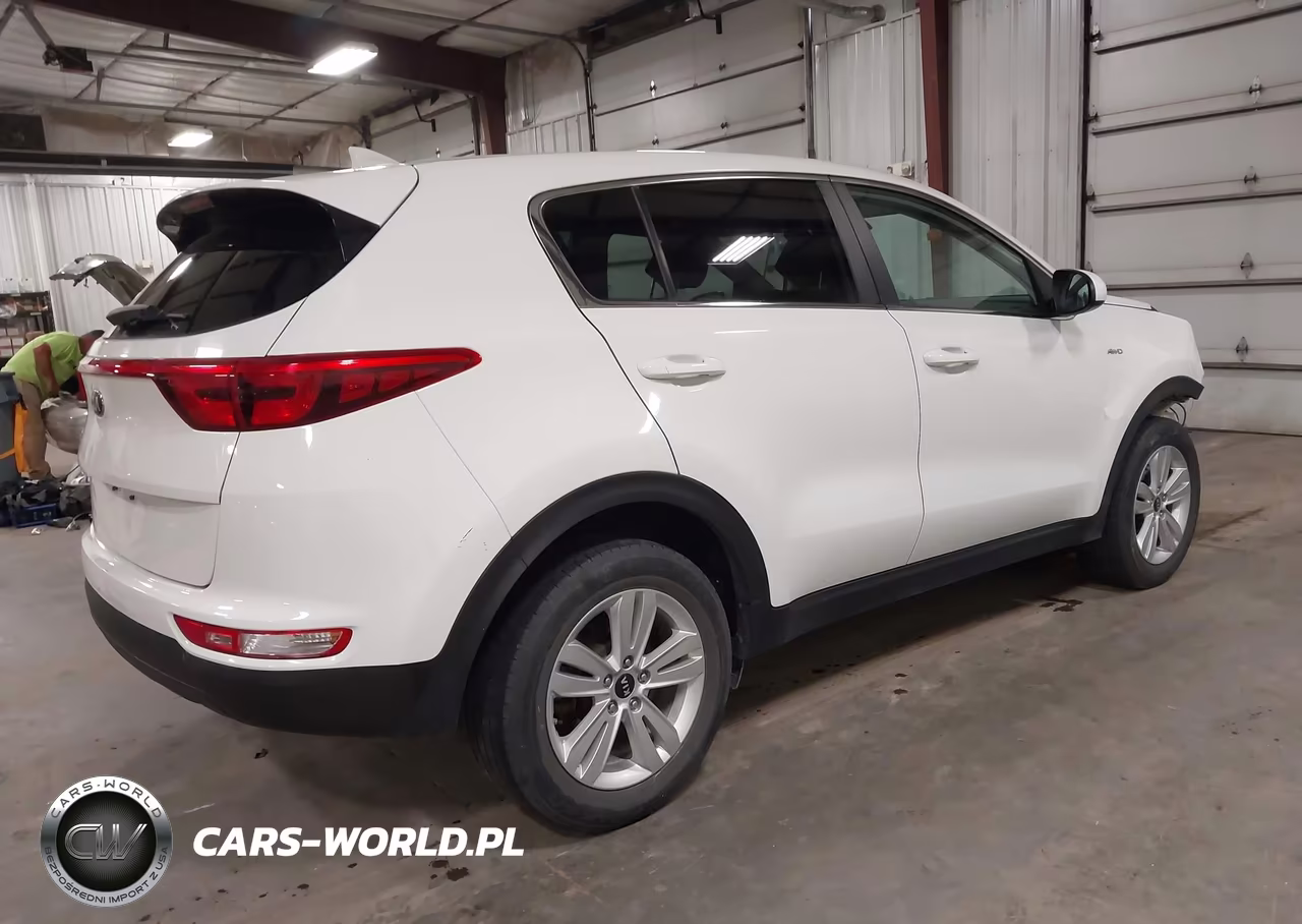 2019 Kia Sportage Lx VIN:KNDPMCAC1K7615034 - 4