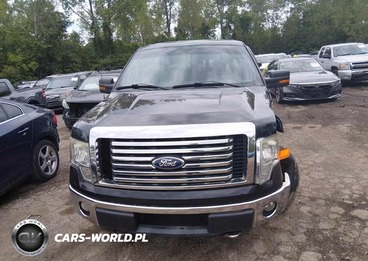2011 Ford F-150 Xlt VIN:1FTFW1EF3BFC47668 - 12