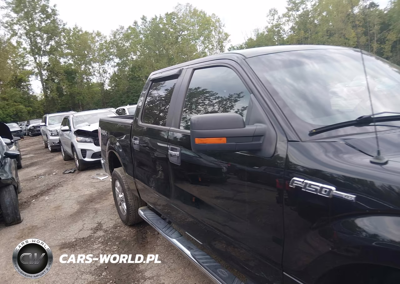 2011 Ford F-150 Xlt VIN:1FTFW1EF3BFC47668 - 13