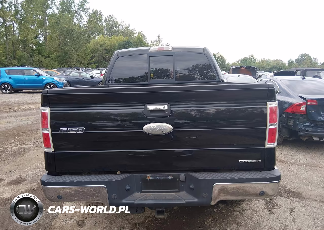 2011 Ford F-150 Xlt VIN:1FTFW1EF3BFC47668 - 16