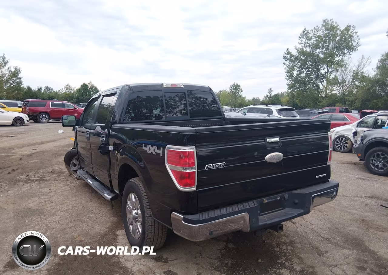 2011 Ford F-150 Xlt VIN:1FTFW1EF3BFC47668 - 3