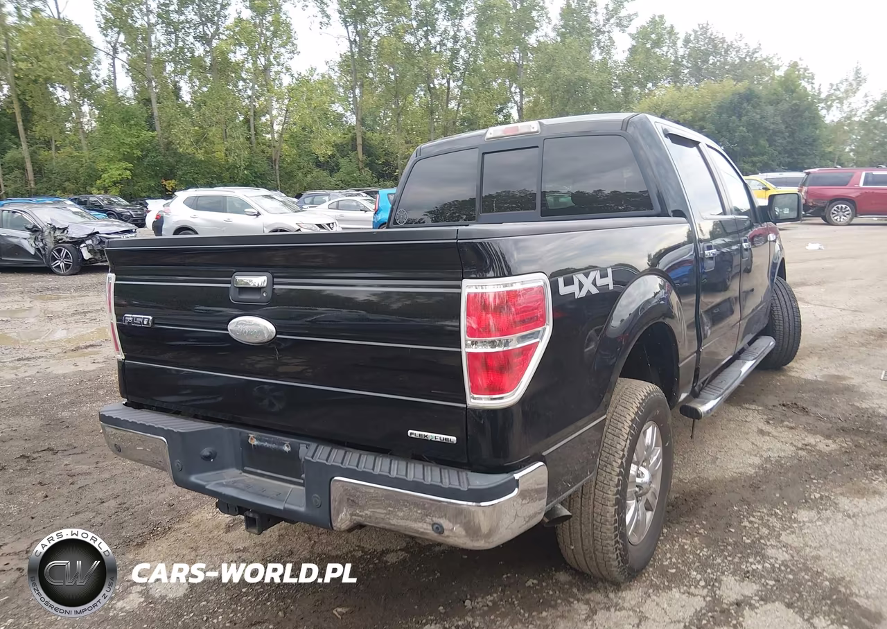2011 Ford F-150 Xlt VIN:1FTFW1EF3BFC47668 - 4
