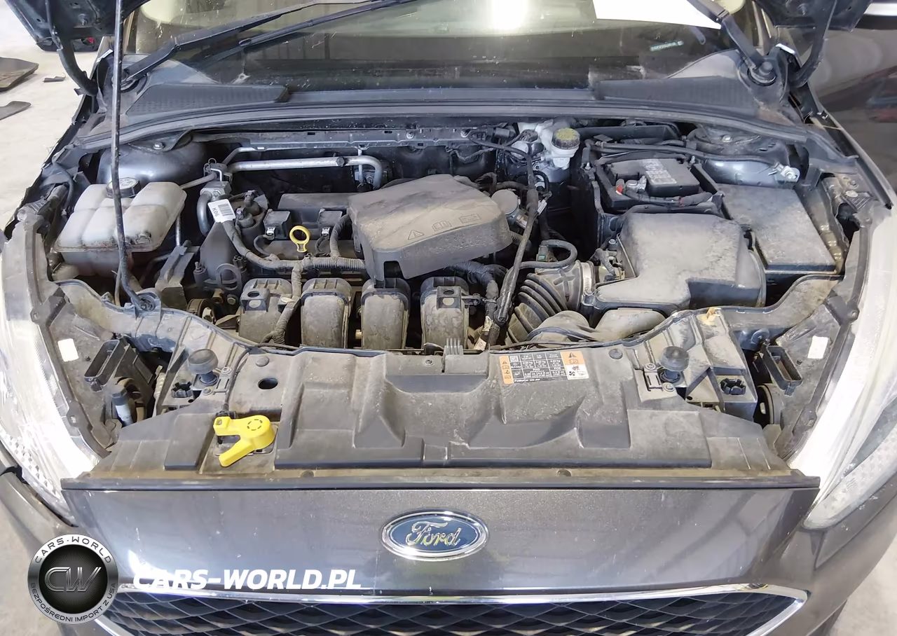 2016 Ford Focus Se VIN:1FADP3F22GL386166 - 10