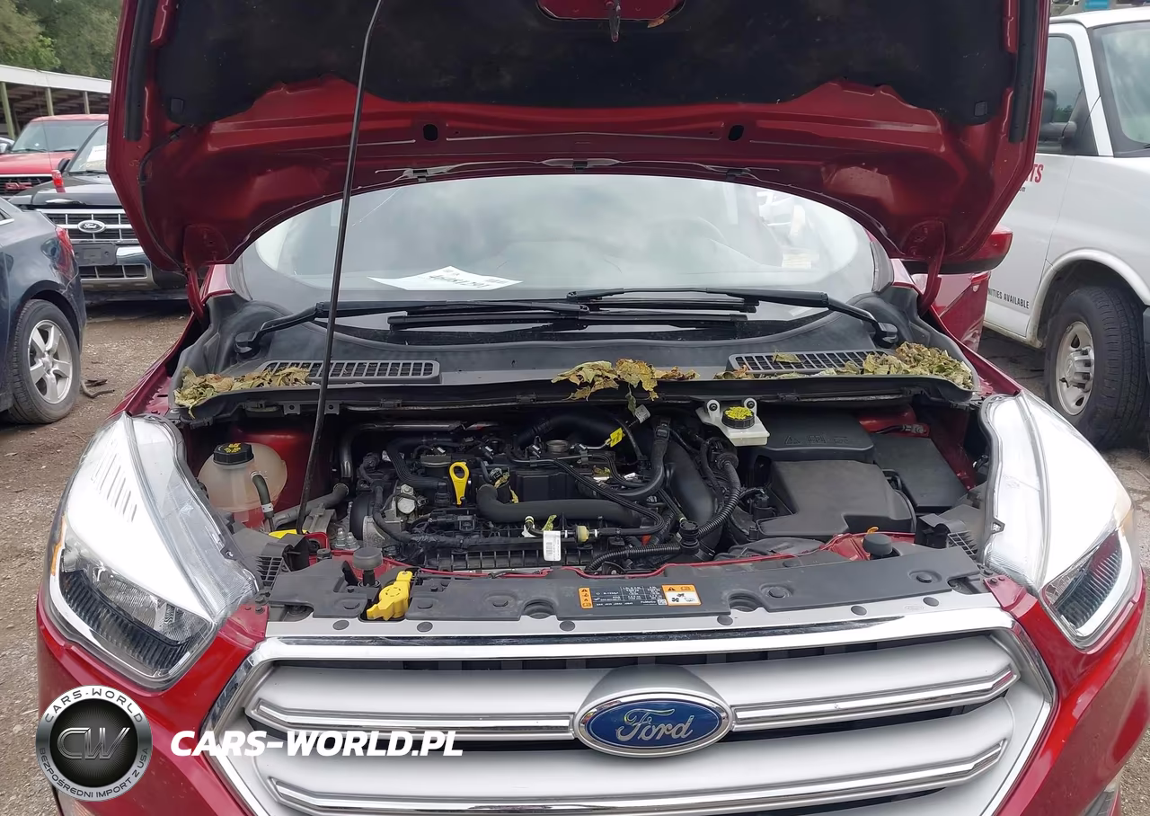 2019 Ford Escape Se VIN:1FMCU0GD8KUA19042 - 10