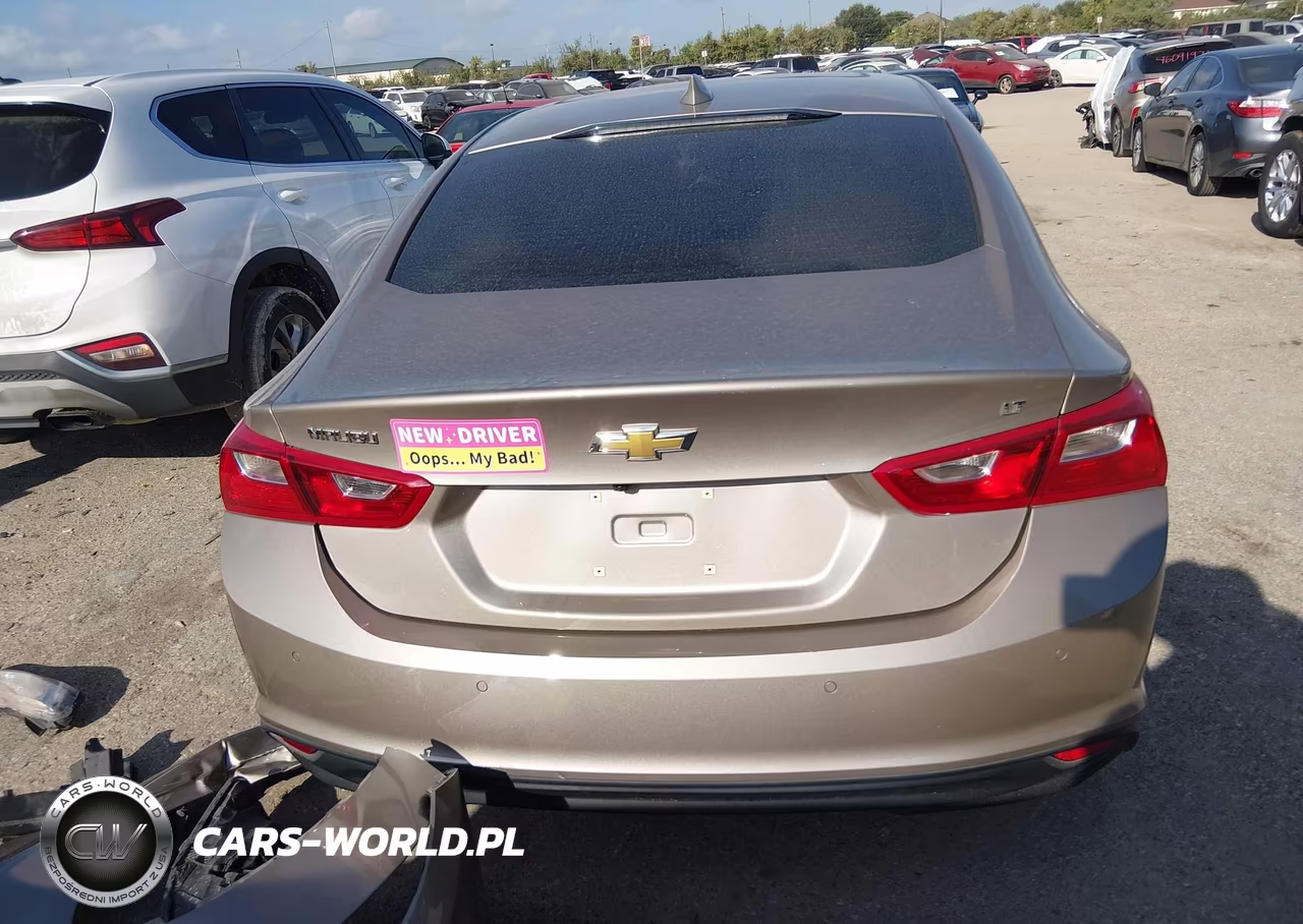2024 Chevrolet Malibu Fwd 1Lt VIN:1G1ZD5ST8RF119790 - 17