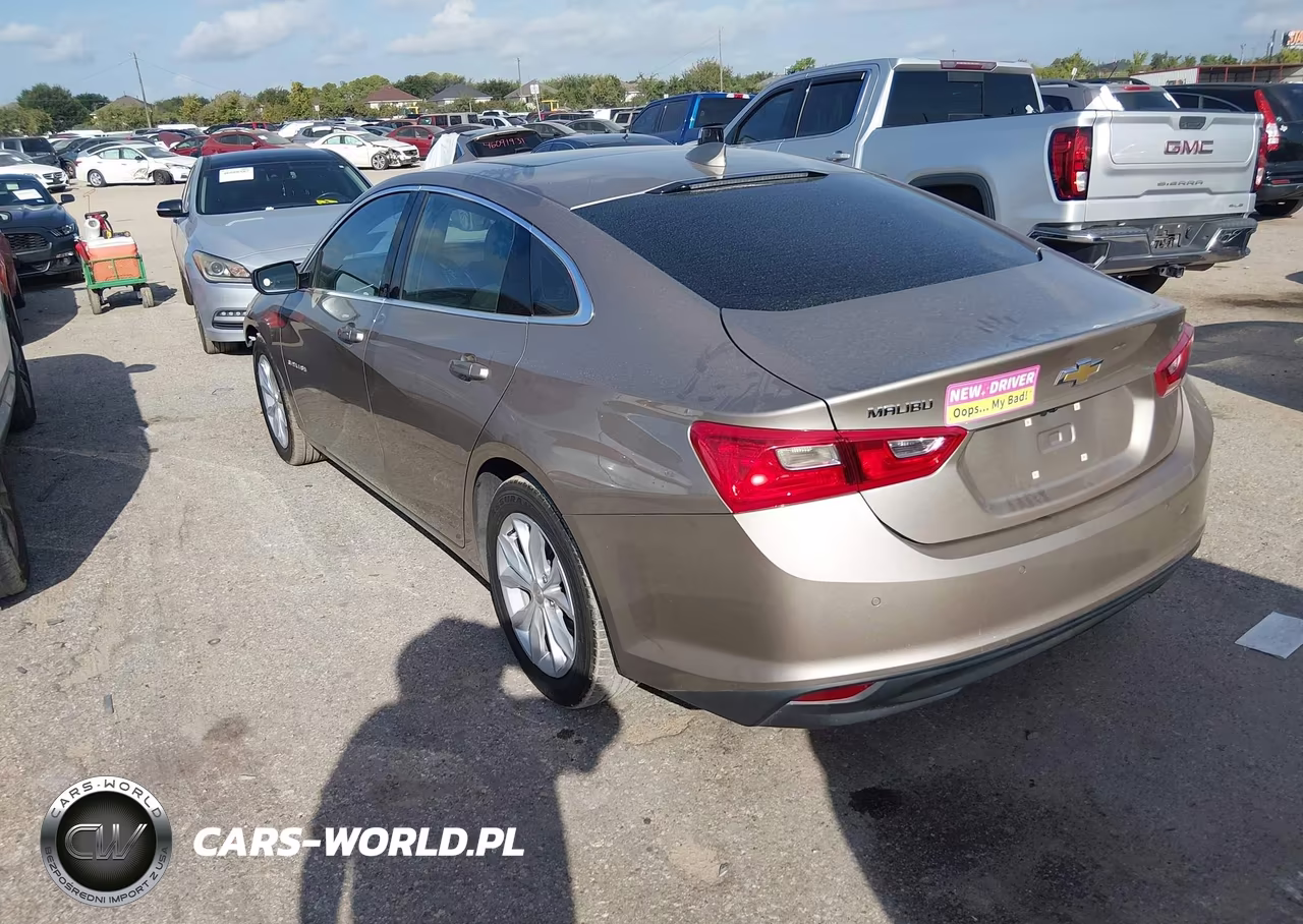 2024 Chevrolet Malibu Fwd 1Lt VIN:1G1ZD5ST8RF119790 - 3