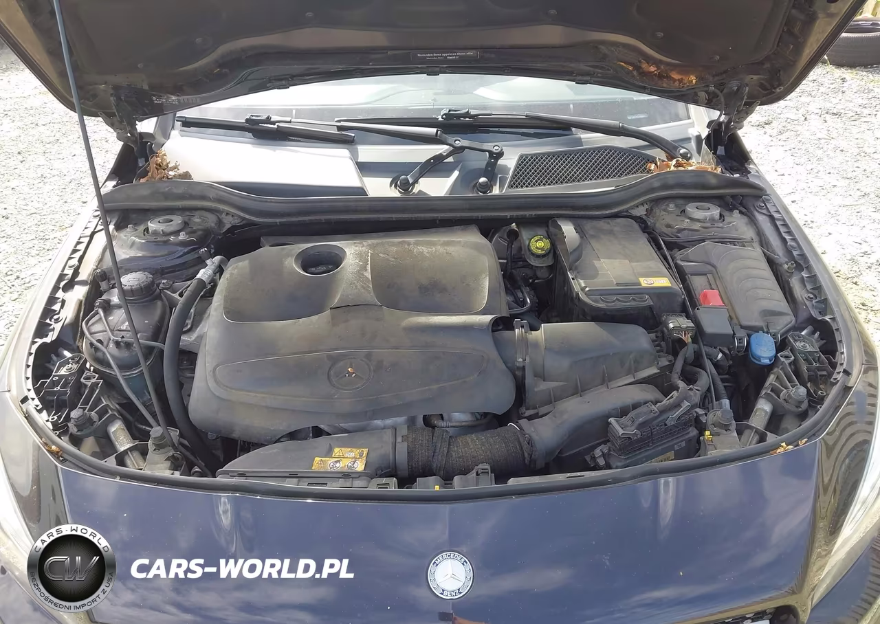 2014 Mercedes-Benz Cla 250 VIN:WDDSJ4EB3EN058501 - 10