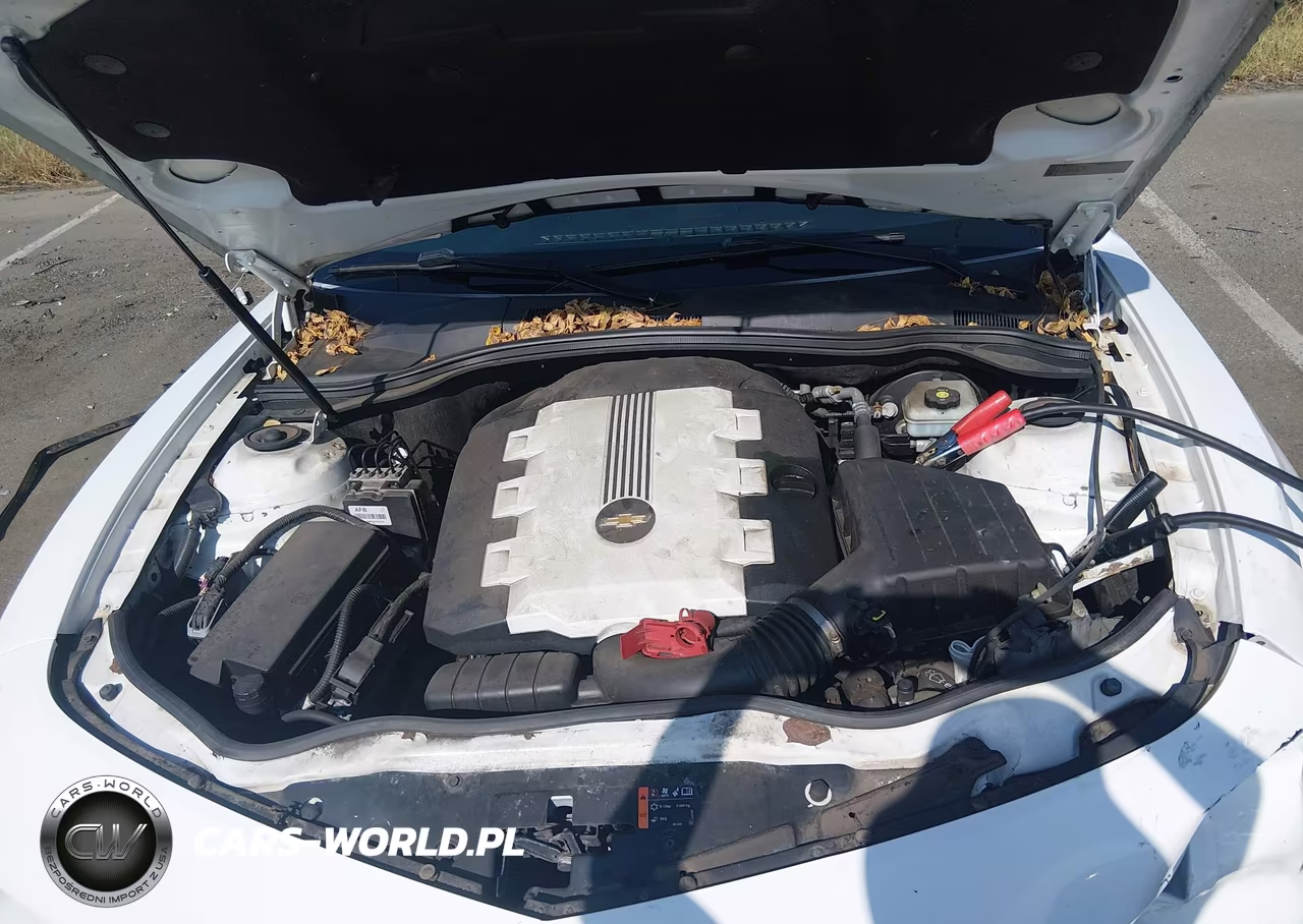 2011 Chevrolet Camaro 2Ls VIN:2G1FA1ED1B9149169 - 10