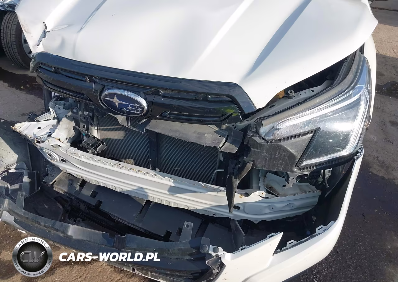 2022 Subaru Forester Premium VIN:JF2SKAEC8NH481458 - 17