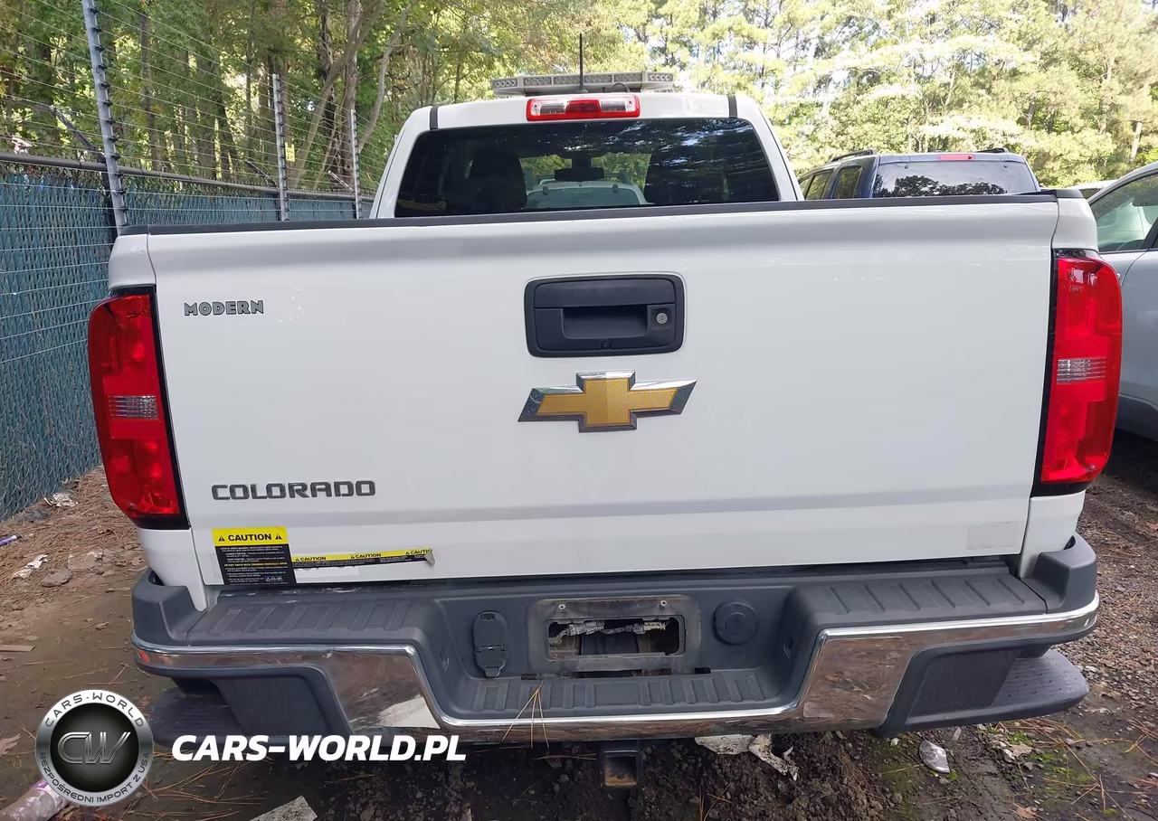 2020 Chevrolet Colorado 4Wd Long Box Wt VIN:1GCHTBEA2L1130996 - 16