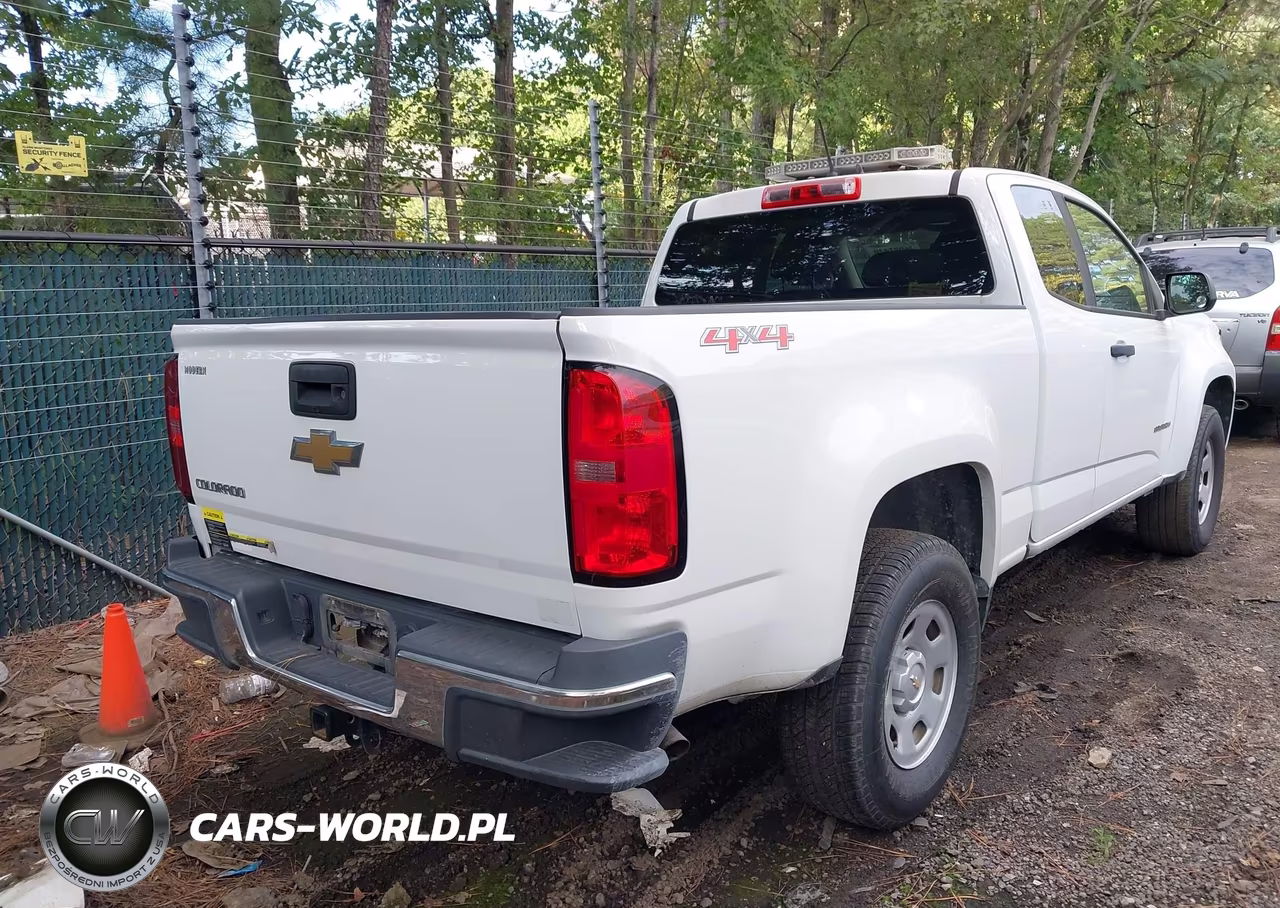 2020 Chevrolet Colorado 4Wd Long Box Wt VIN:1GCHTBEA2L1130996 - 4