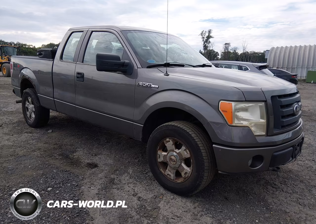 2010 Ford F-150 Stx-Xl