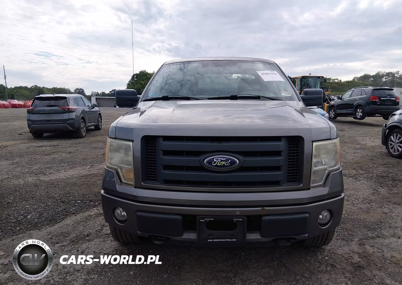 2010 Ford F-150 Stx-Xl VIN:1FTEX1EW7AFA02394 - 12