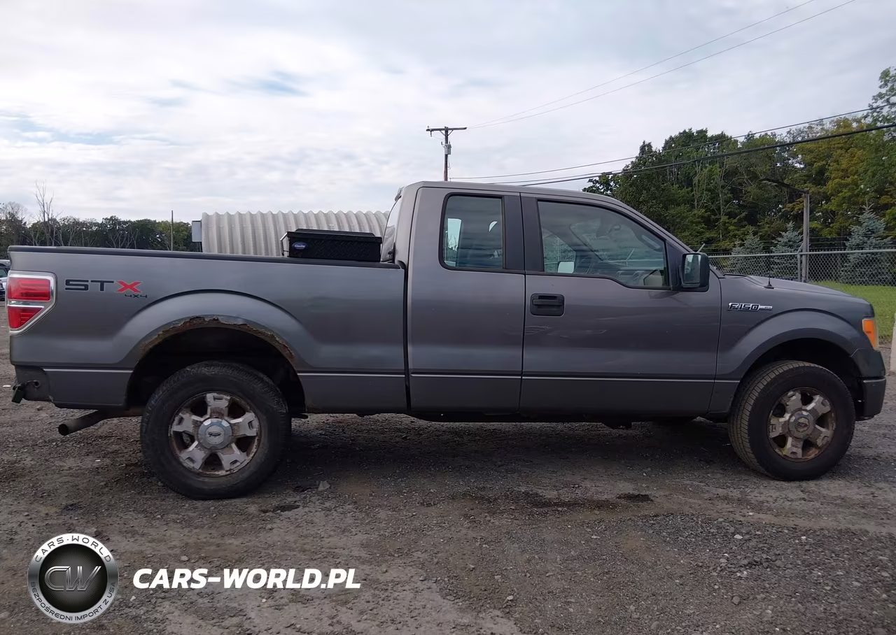 2010 Ford F-150 Stx-Xl VIN:1FTEX1EW7AFA02394 - 13