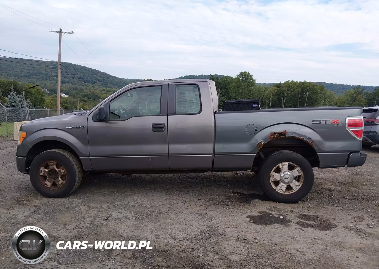 2010 Ford F-150 Stx-Xl VIN:1FTEX1EW7AFA02394 - 14