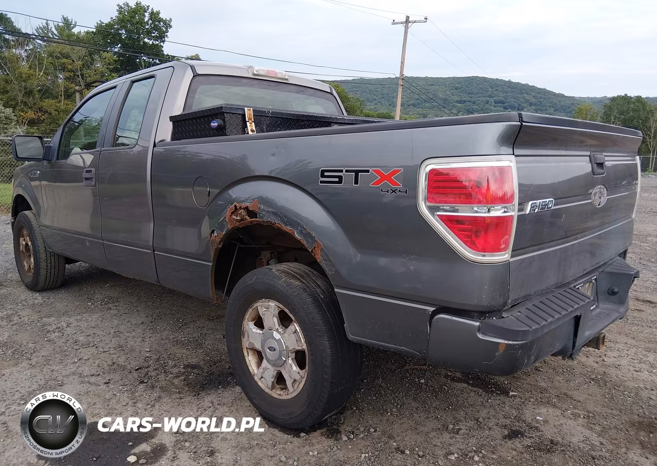 2010 Ford F-150 Stx-Xl VIN:1FTEX1EW7AFA02394 - 17
