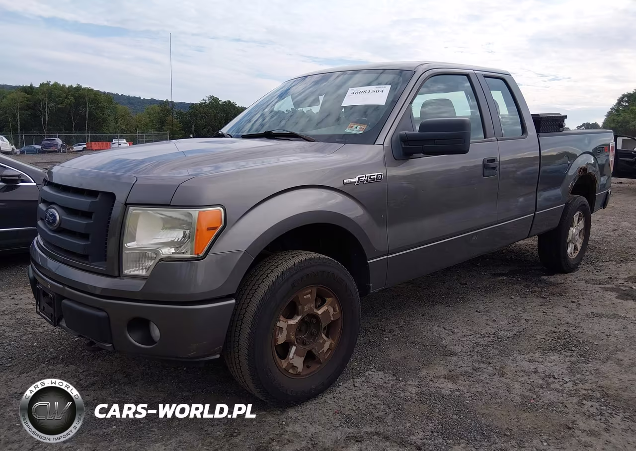 2010 Ford F-150 Stx-Xl VIN:1FTEX1EW7AFA02394 - 2