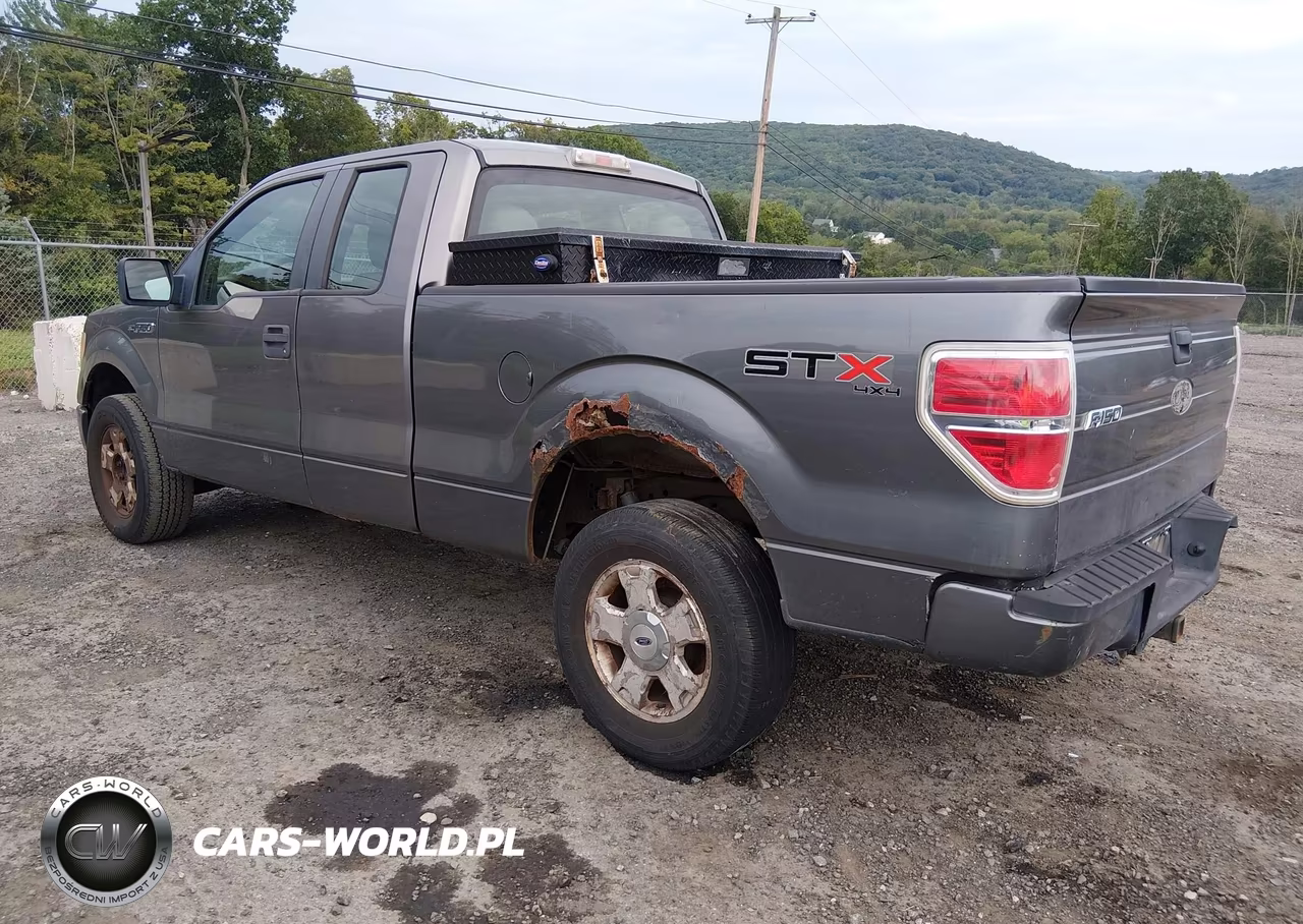 2010 Ford F-150 Stx-Xl VIN:1FTEX1EW7AFA02394 - 3