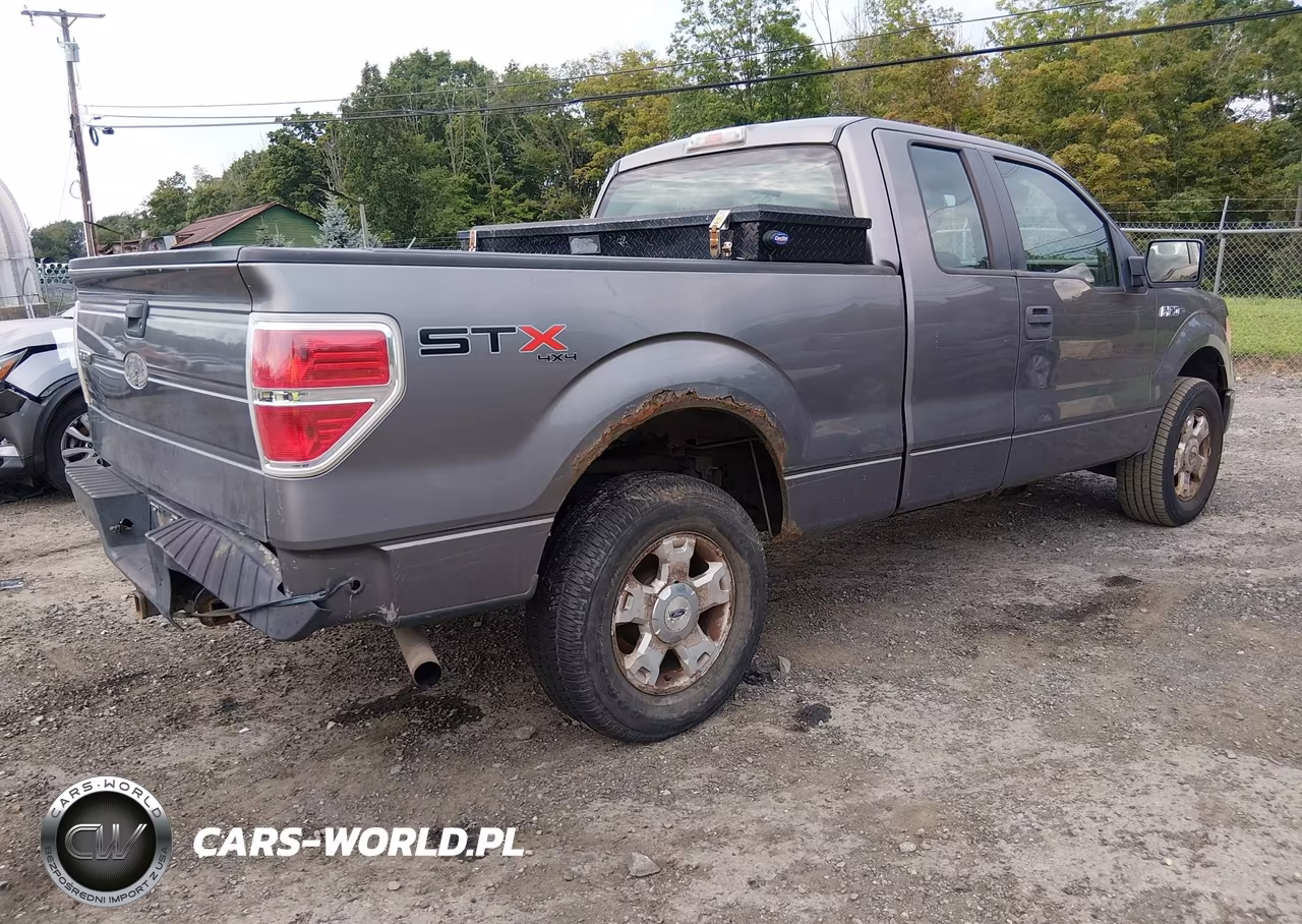 2010 Ford F-150 Stx-Xl VIN:1FTEX1EW7AFA02394 - 4