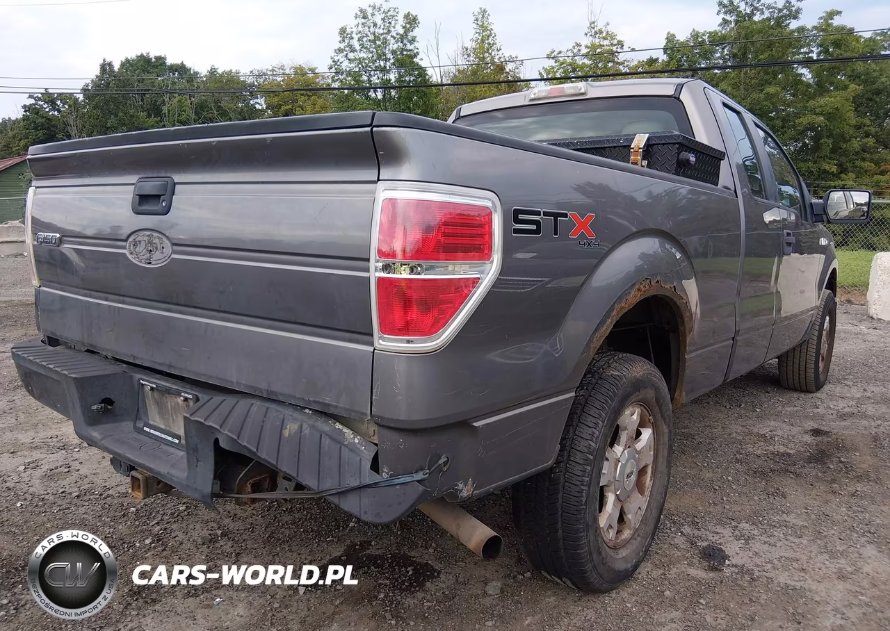 2010 Ford F-150 Stx-Xl VIN:1FTEX1EW7AFA02394 - 6