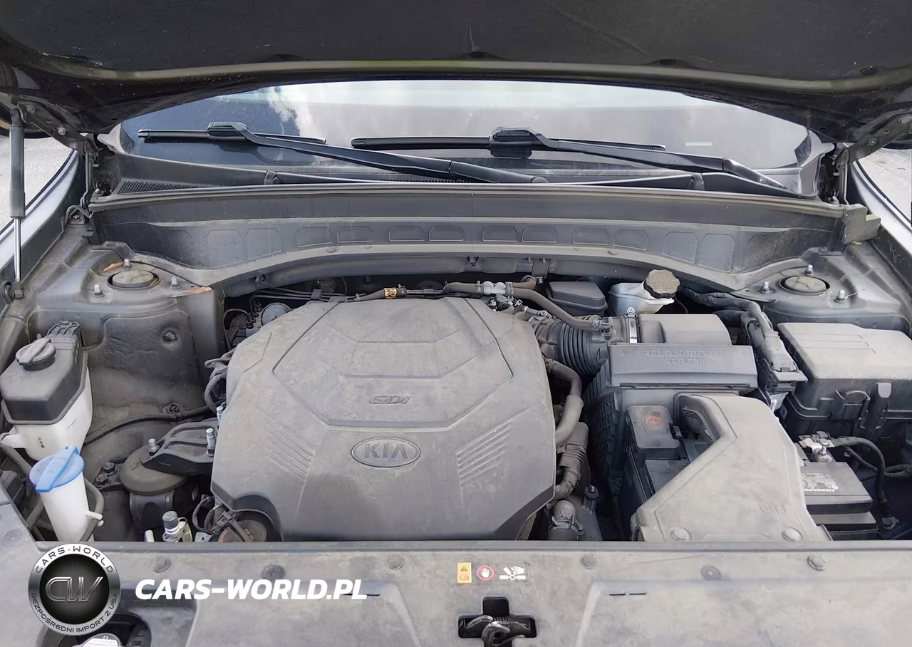 2020 Kia Telluride S VIN:5XYP64HC4LG092022 - 10