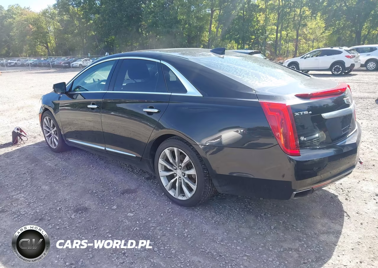 2016 Cadillac Xts Luxury Collection VIN:2G61N5S39G9102880 - 3
