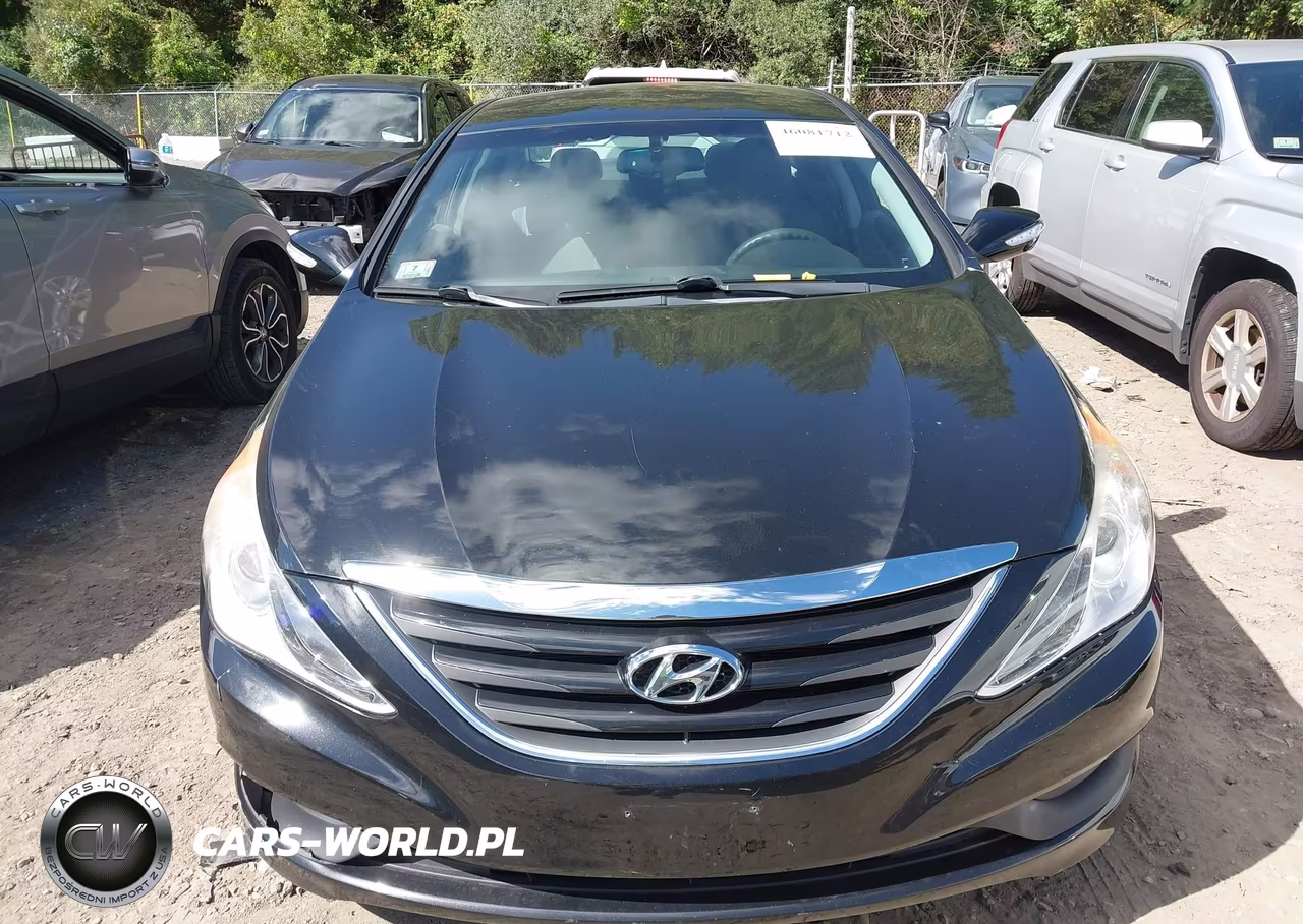 2014 Hyundai Sonata Gls VIN:5NPEB4ACXEH865584 - 12