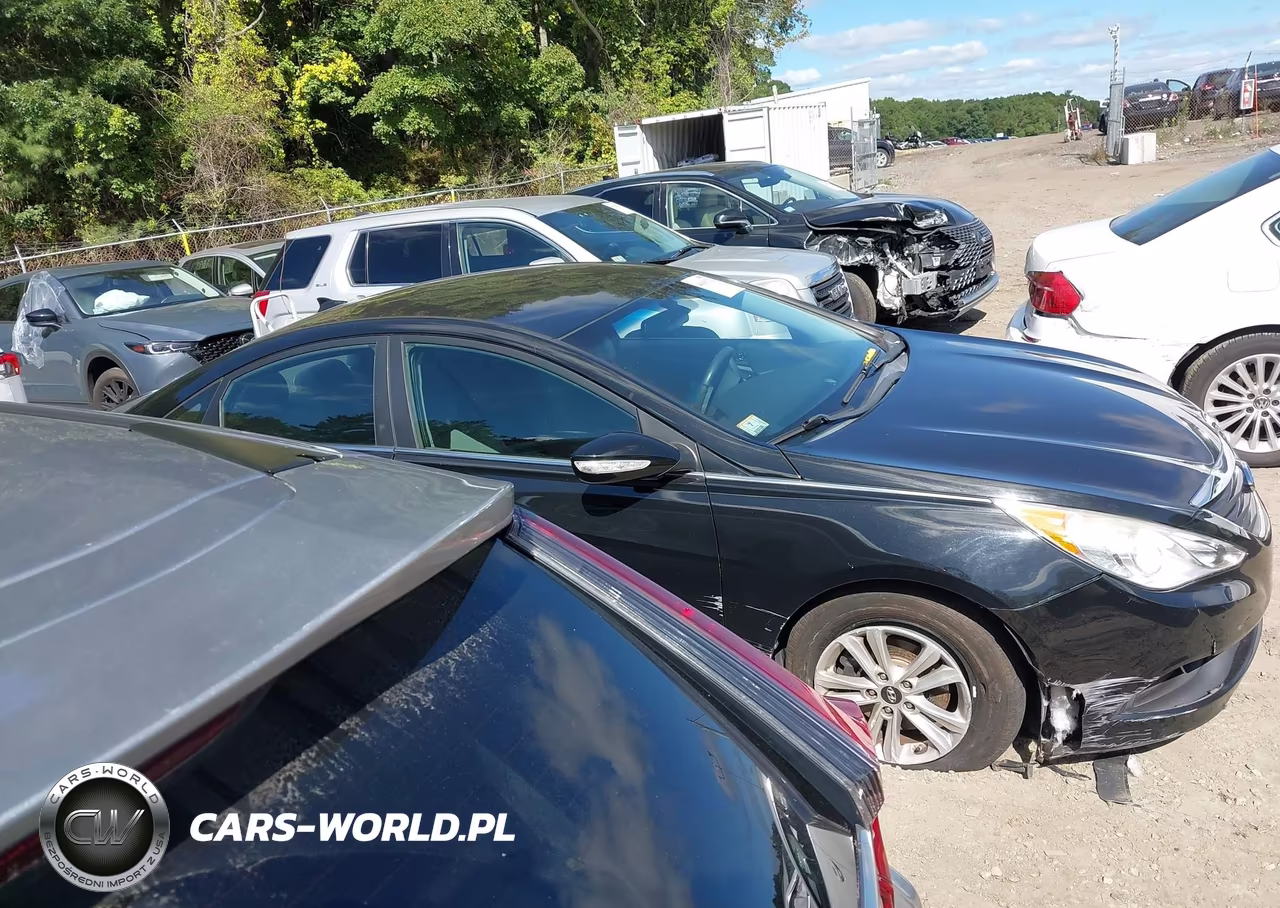 2014 Hyundai Sonata Gls VIN:5NPEB4ACXEH865584 - 13