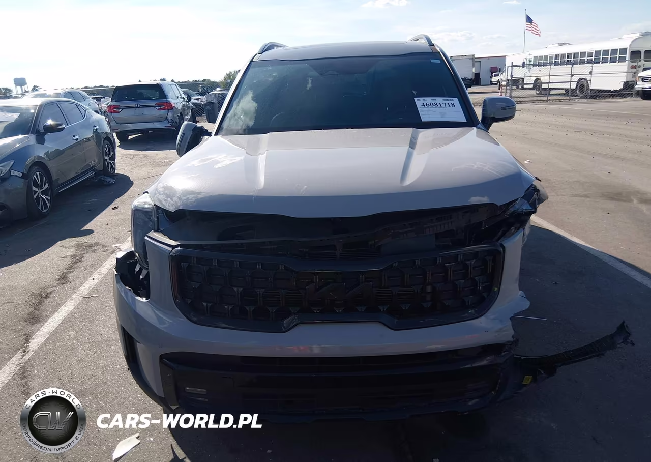 2025 Kia Telluride Sx X-Line VIN:5XYP5DGC3SG641521 - 12
