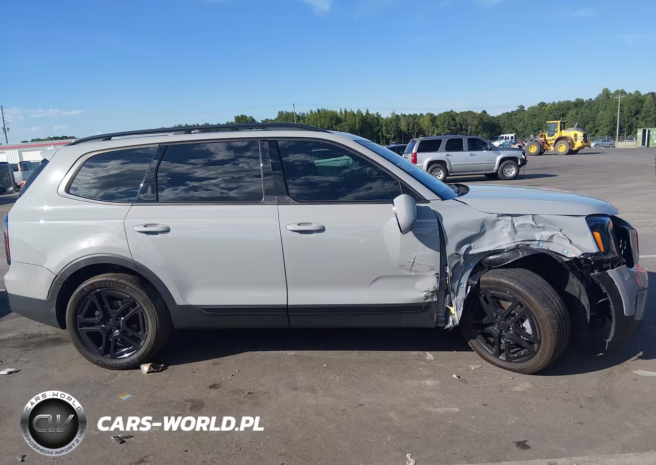 2025 Kia Telluride Sx X-Line VIN:5XYP5DGC3SG641521 - 13