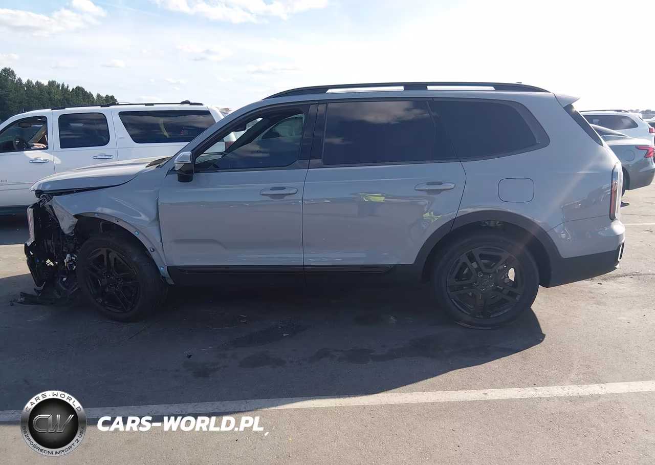 2025 Kia Telluride Sx X-Line VIN:5XYP5DGC3SG641521 - 14