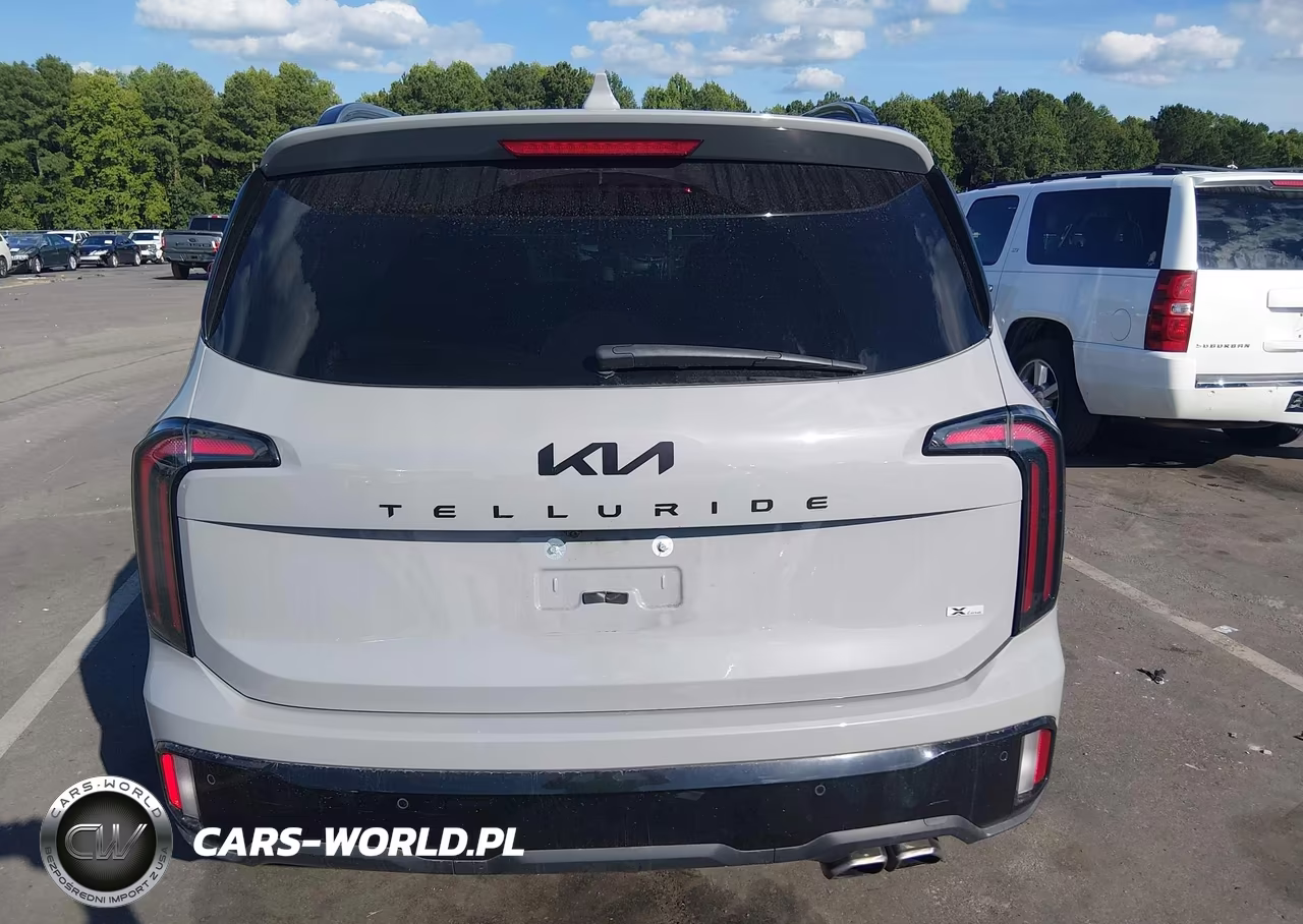 2025 Kia Telluride Sx X-Line VIN:5XYP5DGC3SG641521 - 16