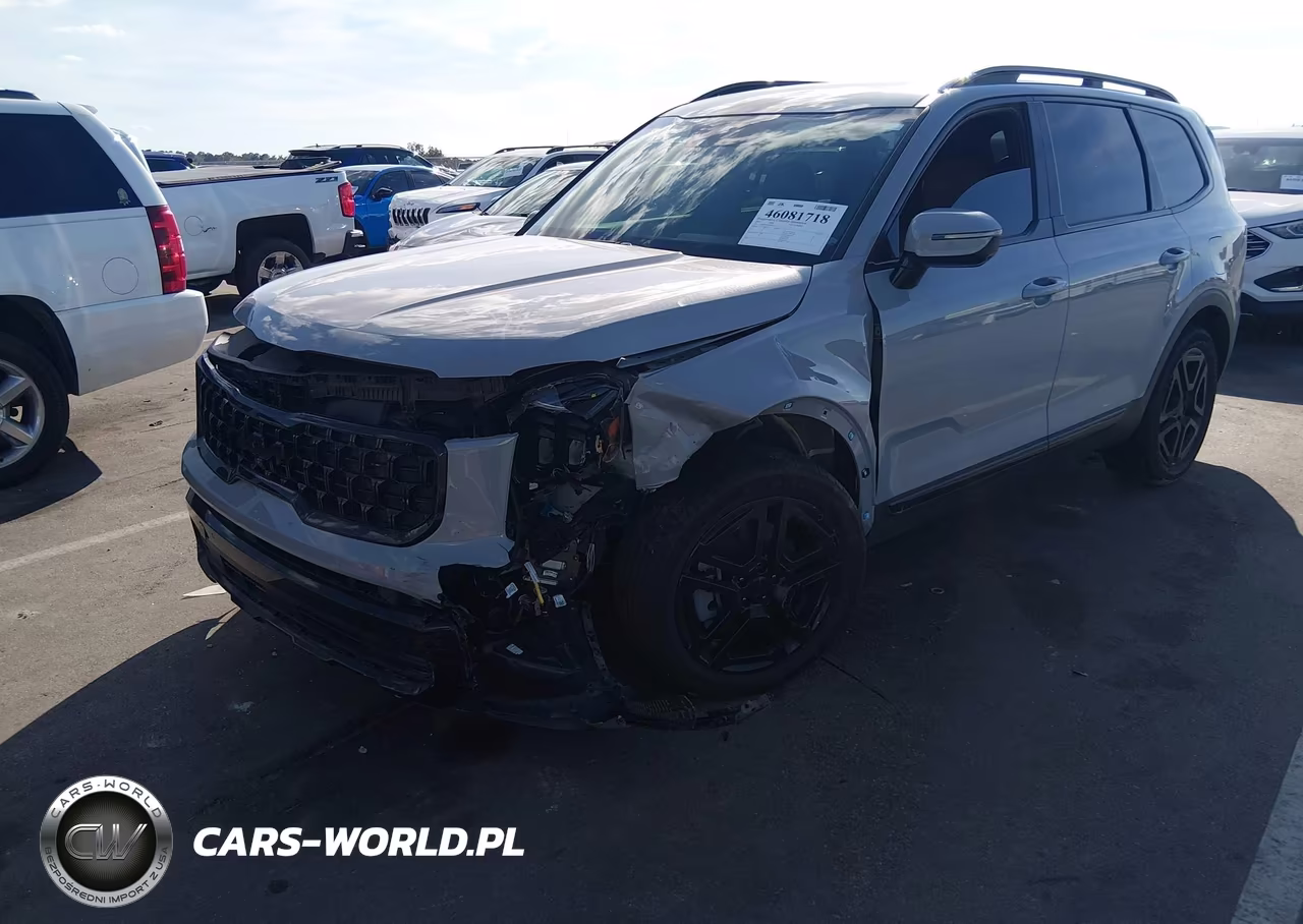 2025 Kia Telluride Sx X-Line VIN:5XYP5DGC3SG641521 - 2