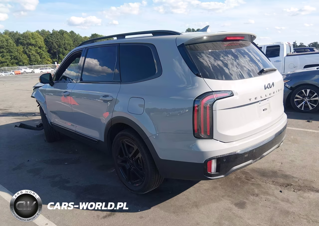 2025 Kia Telluride Sx X-Line VIN:5XYP5DGC3SG641521 - 3