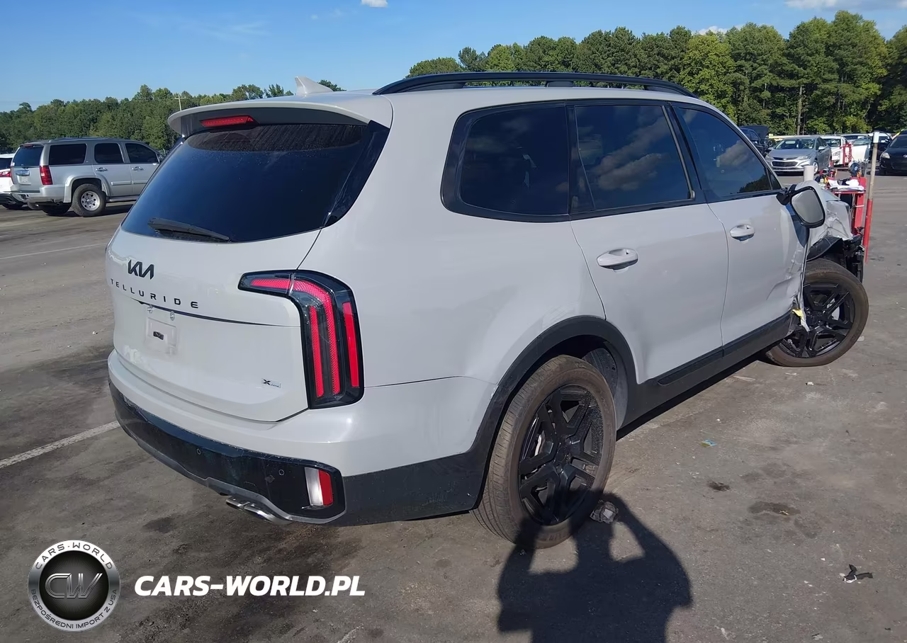 2025 Kia Telluride Sx X-Line VIN:5XYP5DGC3SG641521 - 4