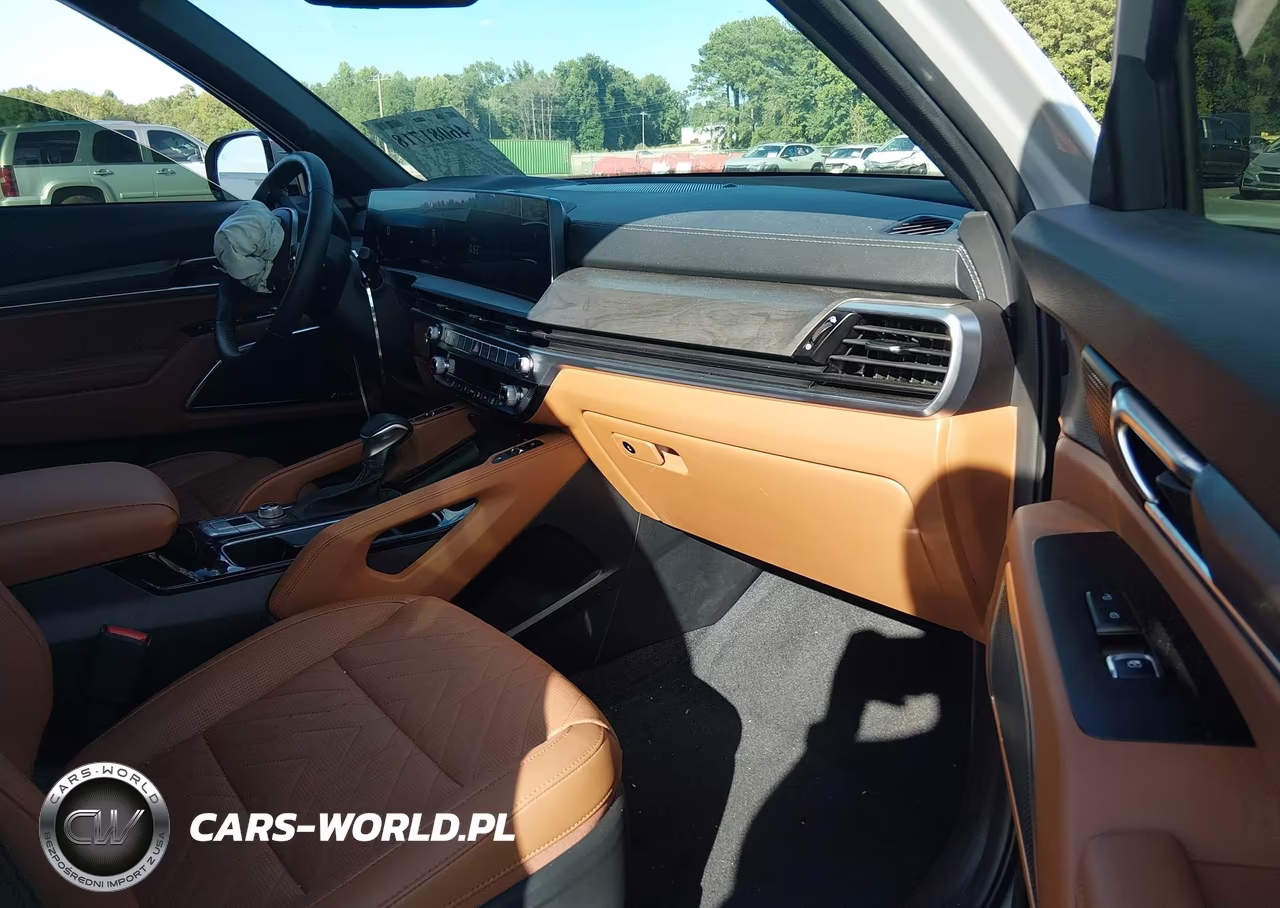 2025 Kia Telluride Sx X-Line VIN:5XYP5DGC3SG641521 - 5