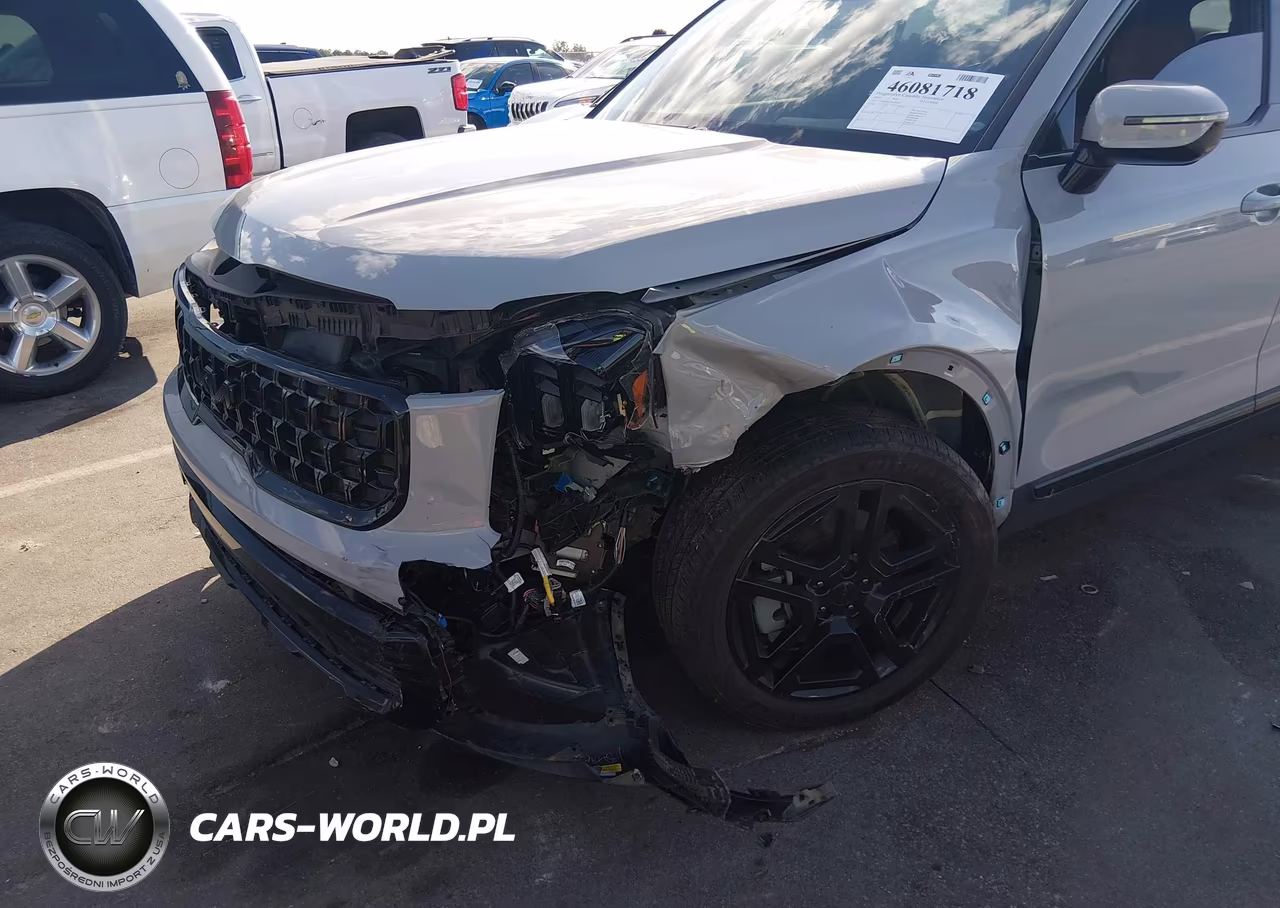 2025 Kia Telluride Sx X-Line VIN:5XYP5DGC3SG641521 - 6
