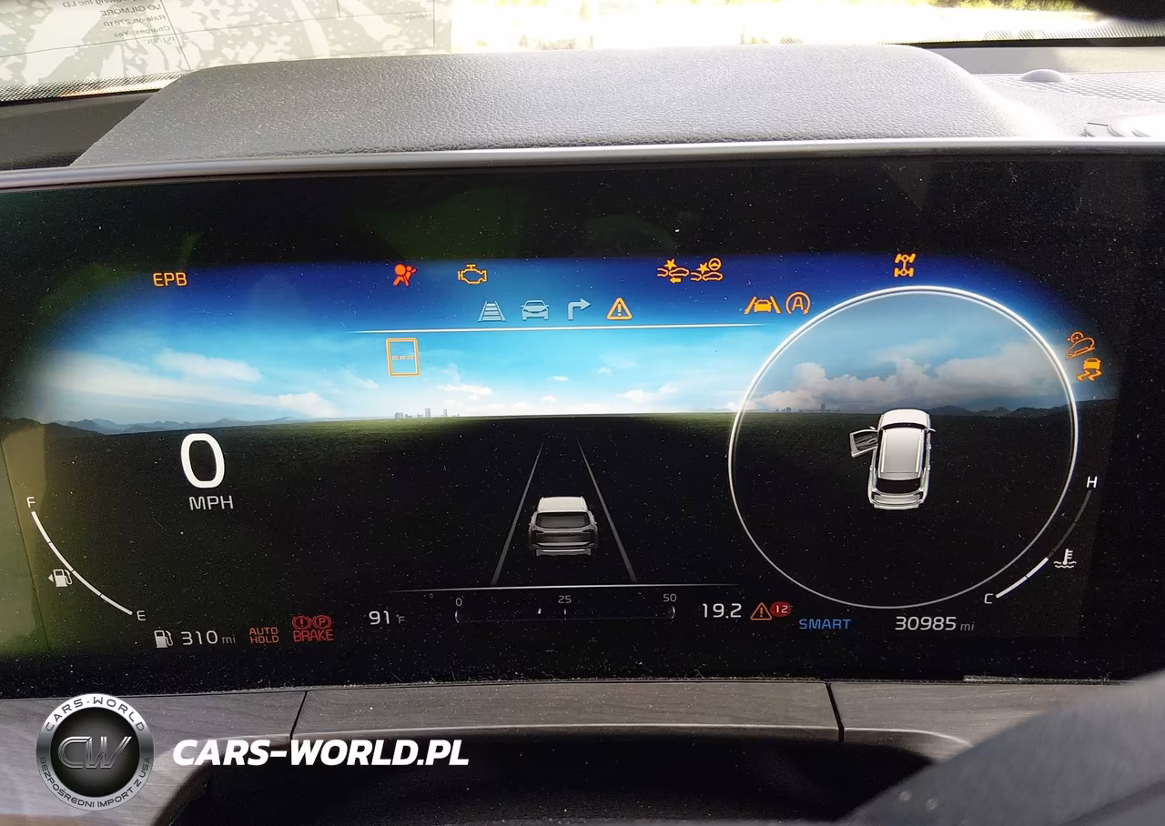 2025 Kia Telluride Sx X-Line VIN:5XYP5DGC3SG641521 - 7