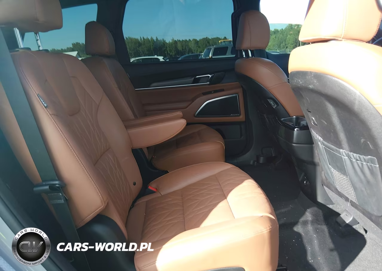 2025 Kia Telluride Sx X-Line VIN:5XYP5DGC3SG641521 - 8