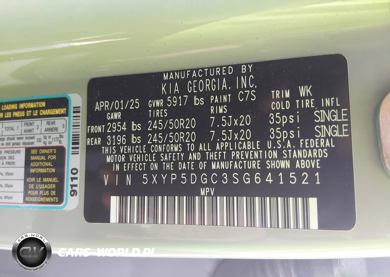 2025 Kia Telluride Sx X-Line VIN:5XYP5DGC3SG641521 - 9