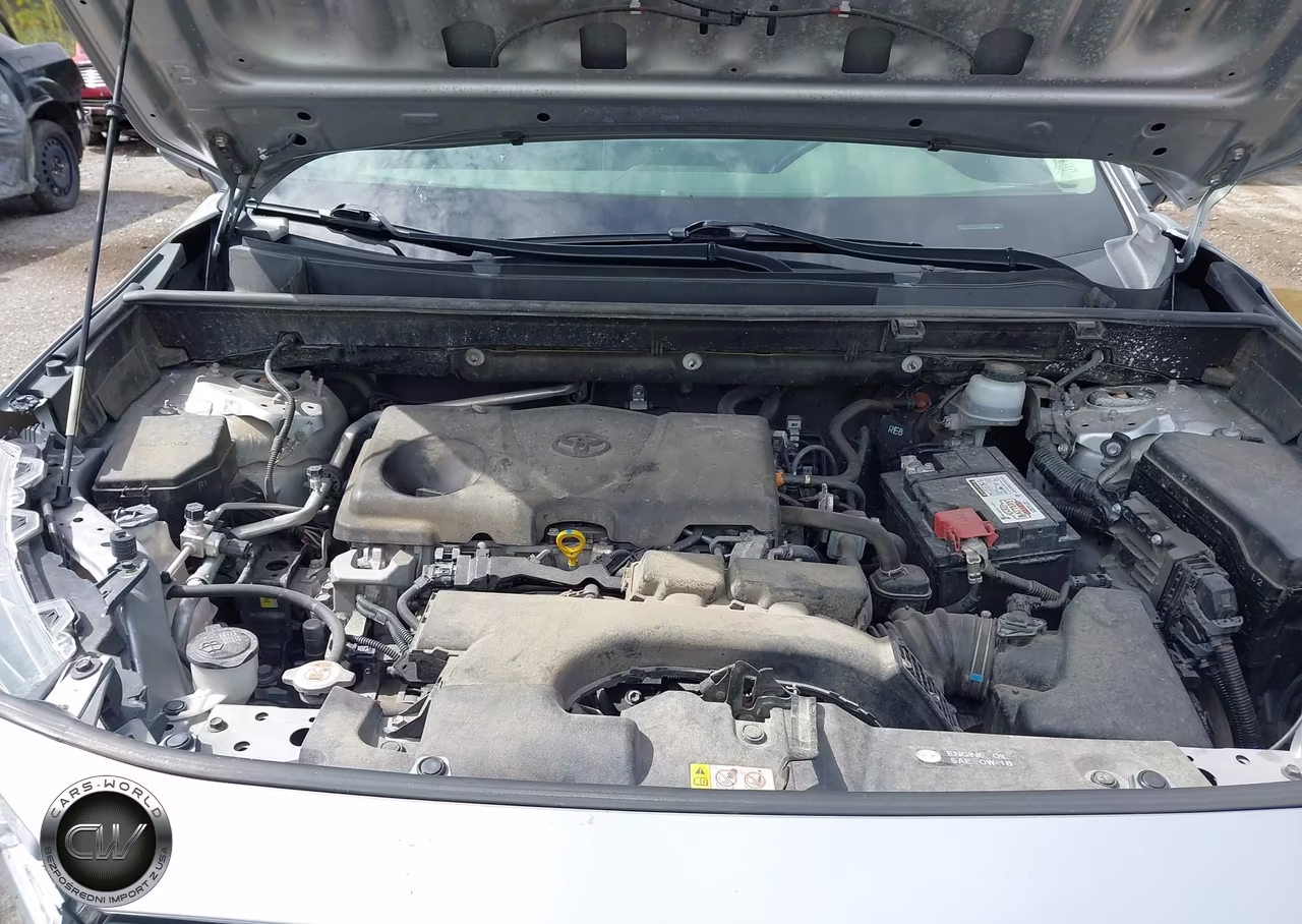 2019 Toyota Rav4 Limited VIN:JTMN1RFV9KD522485 - 10