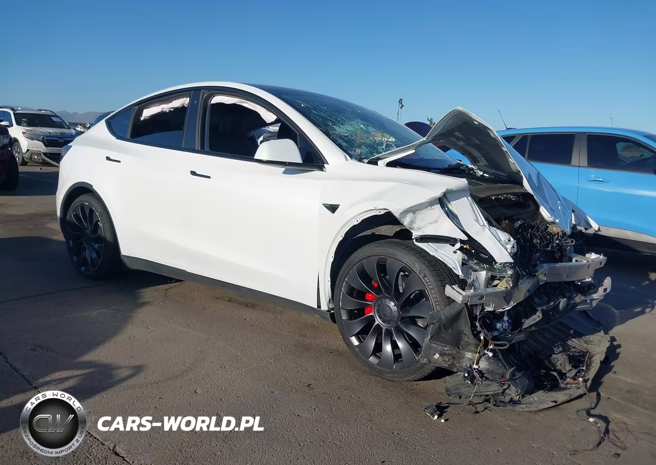 2023 Tesla Model Y Performance Dual Motor All-Wheel Drive