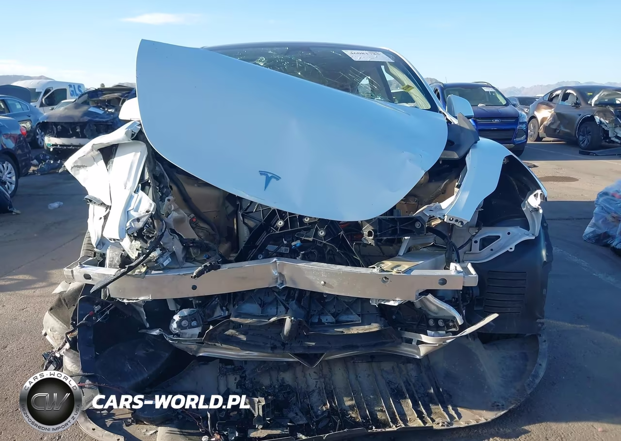 2023 Tesla Model Y Performance Dual Motor All-Wheel Drive VIN:7SAYGDEF0PF659522 - 12