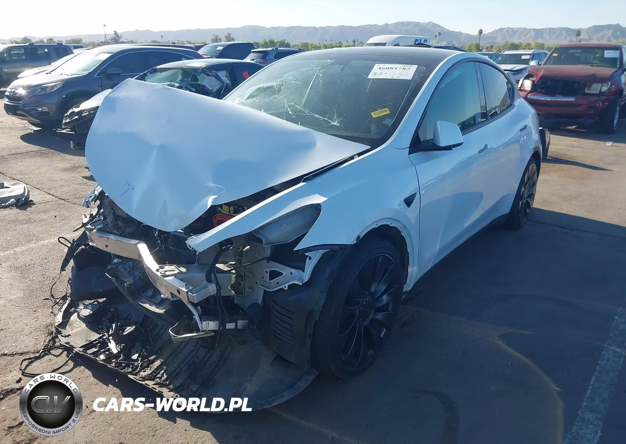 2023 Tesla Model Y Performance Dual Motor All-Wheel Drive VIN:7SAYGDEF0PF659522 - 2