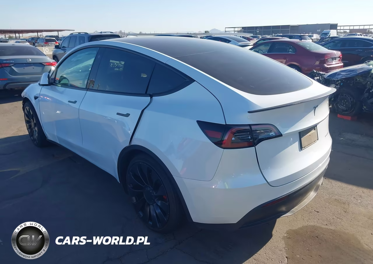 2023 Tesla Model Y Performance Dual Motor All-Wheel Drive VIN:7SAYGDEF0PF659522 - 3
