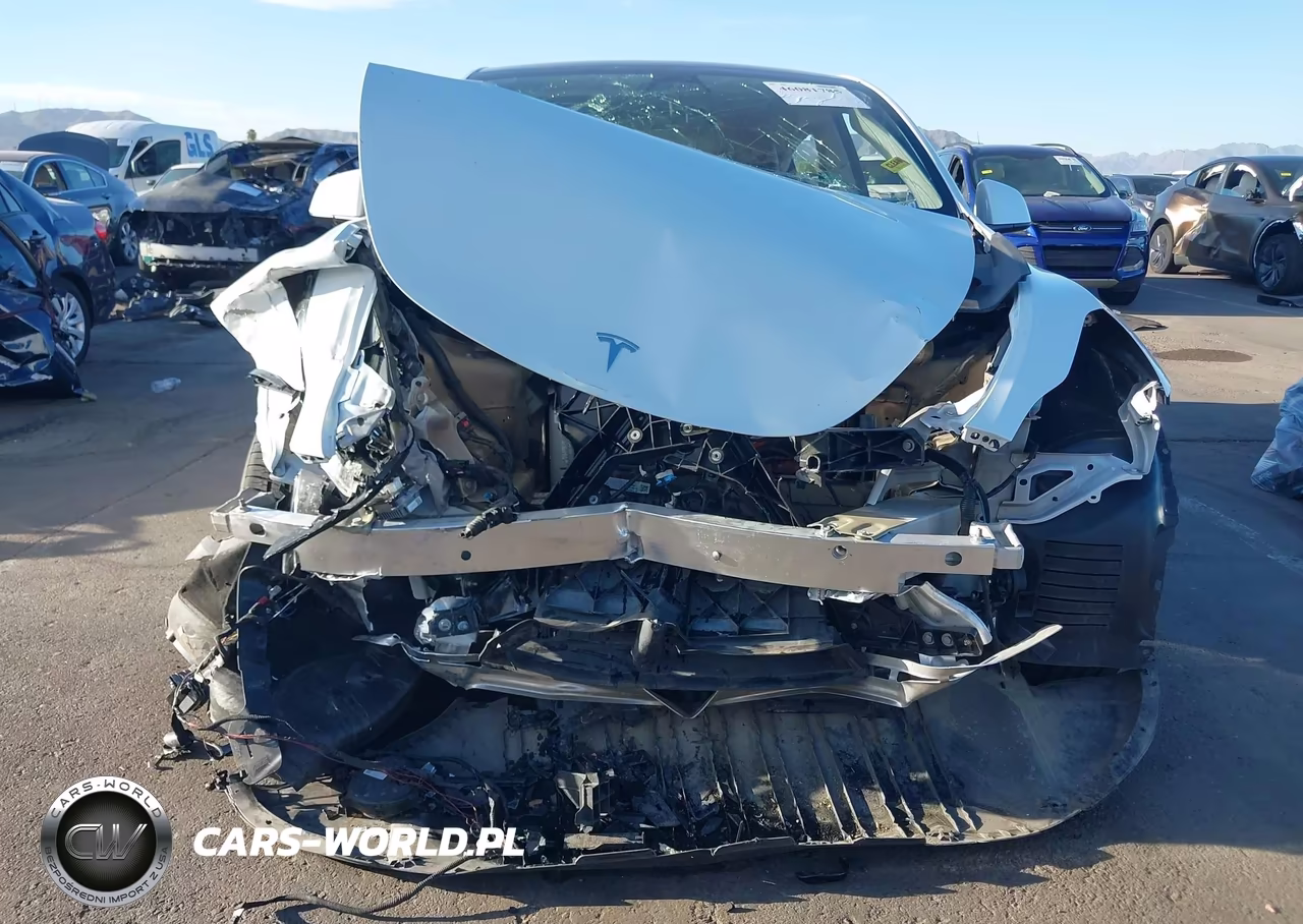 2023 Tesla Model Y Performance Dual Motor All-Wheel Drive VIN:7SAYGDEF0PF659522 - 6