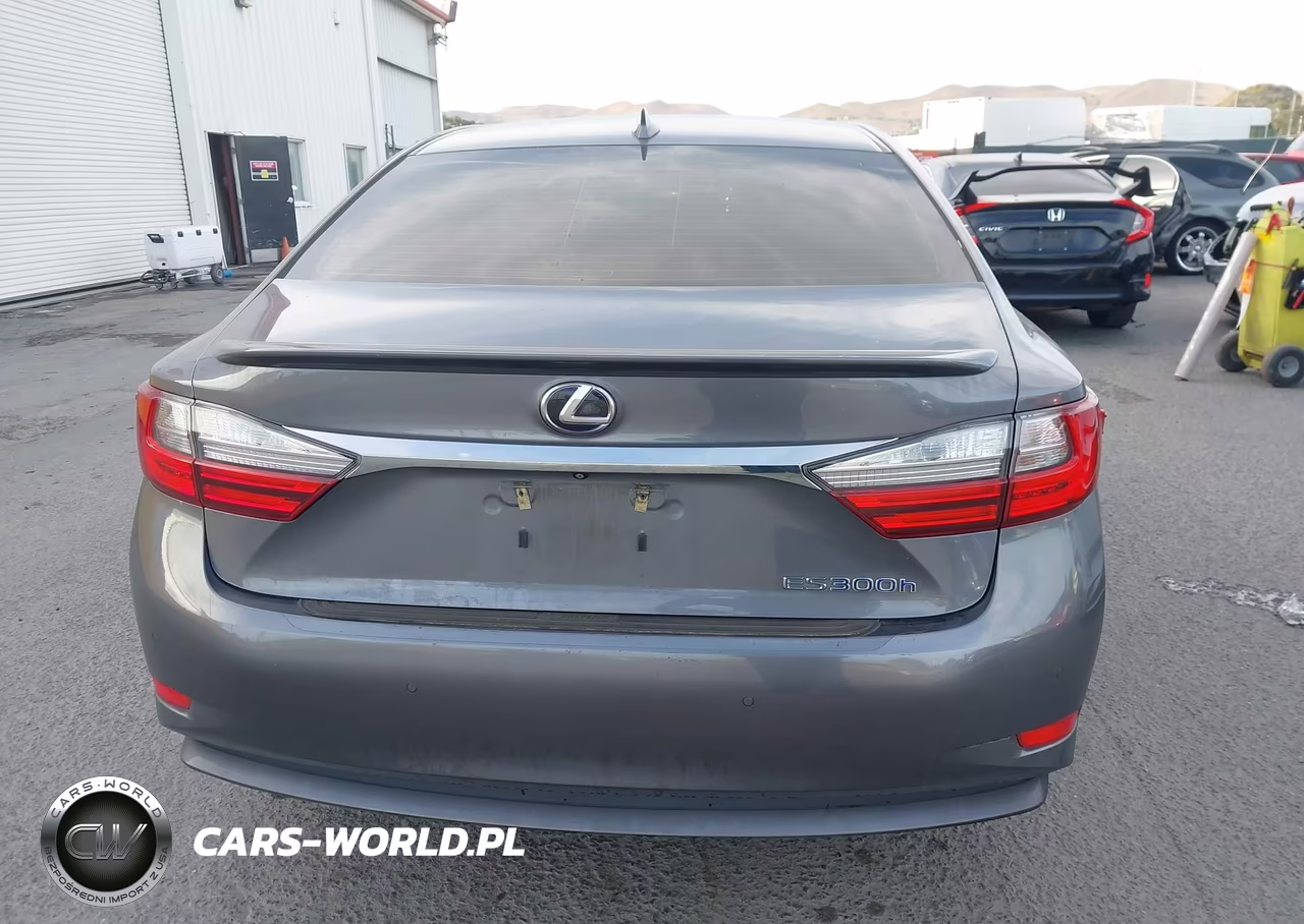 2018 Lexus Es 300H VIN:JTHBW1GG5J2171685 - 17